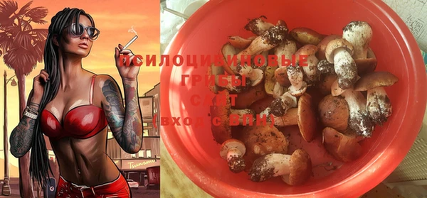 бошки Арсеньев