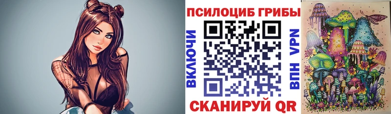 Галлюциногенные грибы Psilocybe  Тайшет 